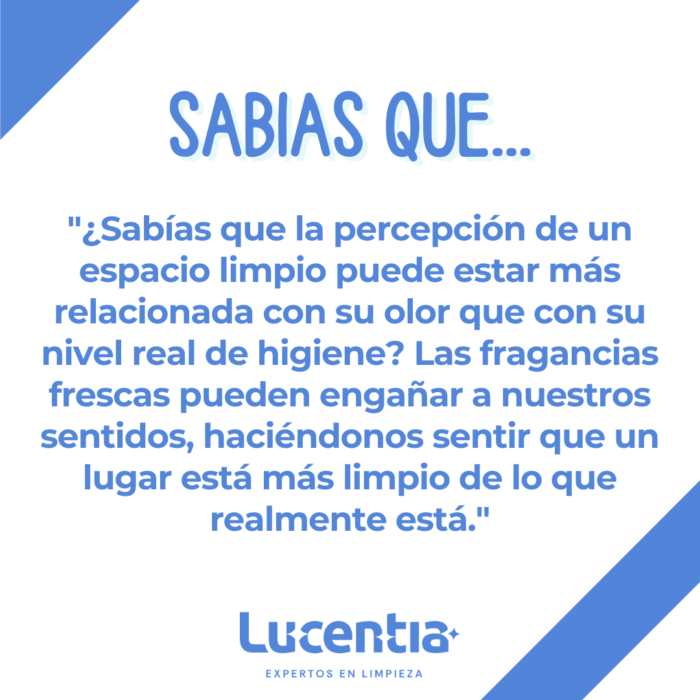 Prepárate para aprender curiosidades que no solo te sorprenderán, sino que también pueden mejorar tus rutinas de limpieza diarias.